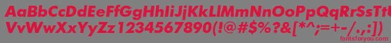 FuturiscttBolditalic Font – Red Fonts on Gray Background