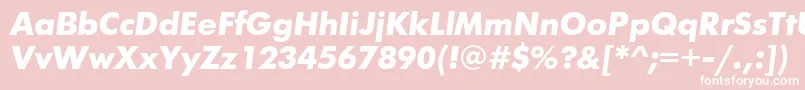 FuturiscttBolditalic Font – White Fonts on Pink Background