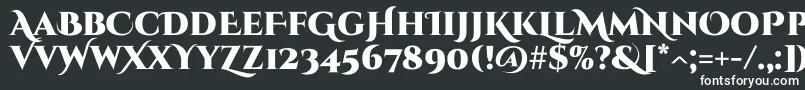 フォントCinzeldecorativeBlack – 黒い背景に白い文字