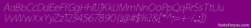 KiddysansLightItalic Font – Green Fonts on Purple Background