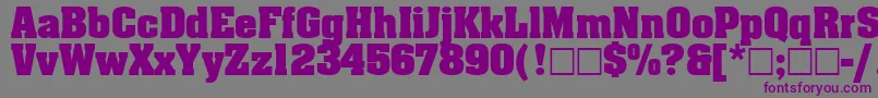 フォントAgaalenboldRoman – 紫色のフォント、灰色の背景