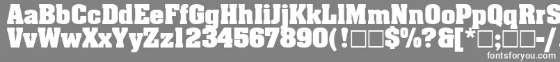 フォントAgaalenboldRoman – 灰色の背景に白い文字