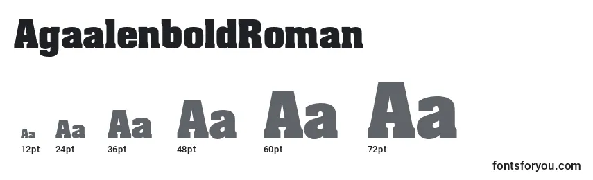 Размеры шрифта AgaalenboldRoman