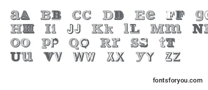 Review of the VariusMultiplexPersonalEdition Font