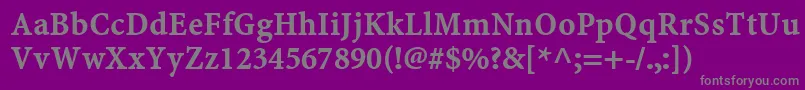 Шрифт MinionwebproBold – серые шрифты на фиолетовом фоне