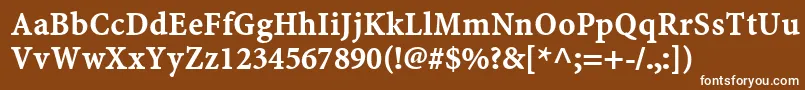 Шрифт MinionwebproBold – белые шрифты на коричневом фоне