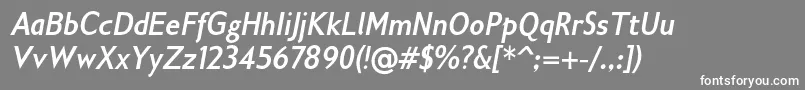 Gilliusadfno2Boldconditalic Font – White Fonts on Gray Background