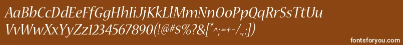 NuevastdItalic Font – White Fonts on Brown Background