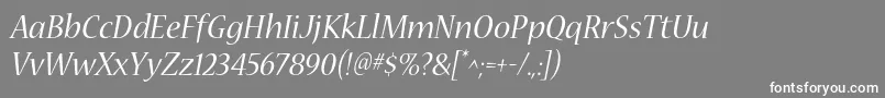 NuevastdItalic-Schriftart – Weiße Schriften auf grauem Hintergrund