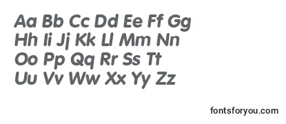 VolkswagenBoldita Font