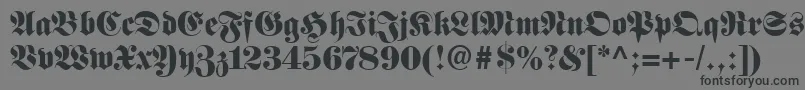 FetteFrakturLt Font – Black Fonts on Gray Background