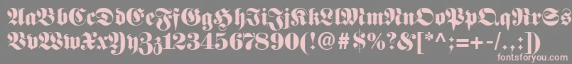 FetteFrakturLt Font – Pink Fonts on Gray Background