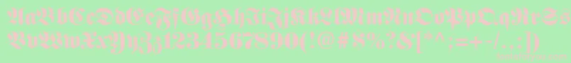FetteFrakturLt Font – Pink Fonts on Green Background