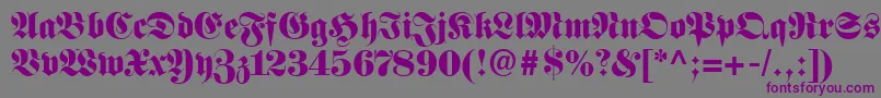 FetteFrakturLt Font – Purple Fonts on Gray Background