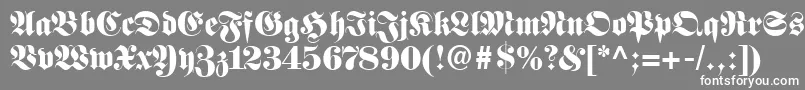 FetteFrakturLt Font – White Fonts on Gray Background