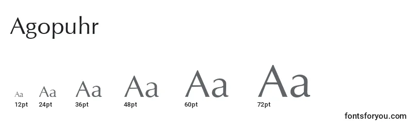 Размеры шрифта Agopuhr