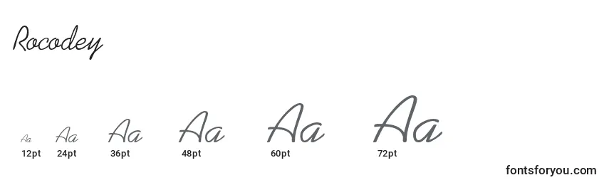 Rocodey Font Sizes