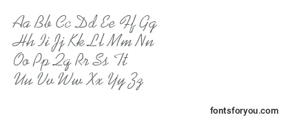 Обзор шрифта Rocodey