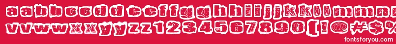 Territorio Font – White Fonts on Red Background