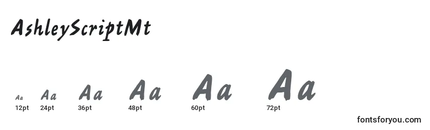 AshleyScriptMt Font Sizes