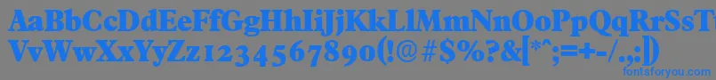 フォントFranciscoserialHeavyRegular – 灰色の背景に青い文字