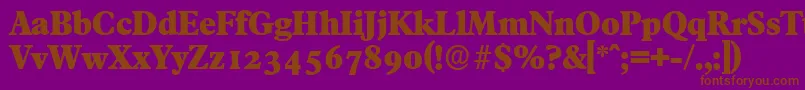 FranciscoserialHeavyRegular Font – Brown Fonts on Purple Background