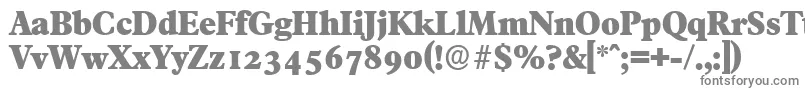Шрифт FranciscoserialHeavyRegular – серые шрифты