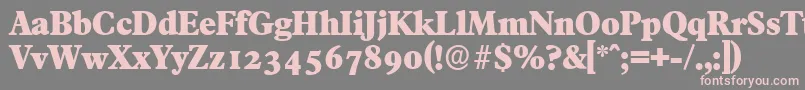 FranciscoserialHeavyRegular Font – Pink Fonts on Gray Background