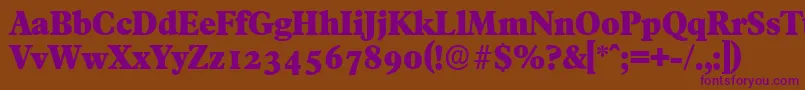 FranciscoserialHeavyRegular Font – Purple Fonts on Brown Background