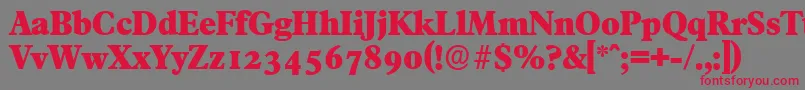 FranciscoserialHeavyRegular Font – Red Fonts on Gray Background