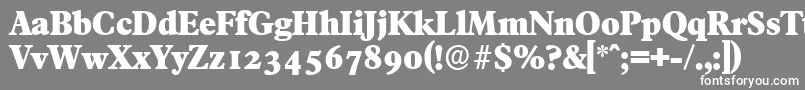 FranciscoserialHeavyRegular-fontti – valkoiset fontit harmaalla taustalla