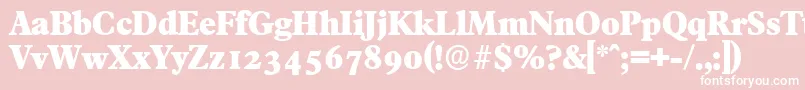 FranciscoserialHeavyRegular Font – White Fonts on Pink Background