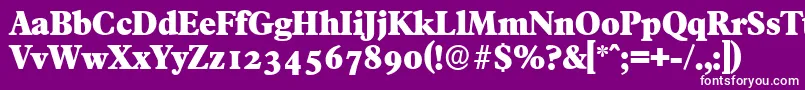 FranciscoserialHeavyRegular Font – White Fonts on Purple Background