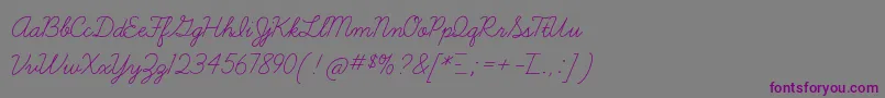 フォントLearningcurveTt – 紫色のフォント、灰色の背景