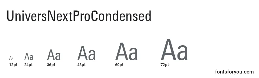 UniversNextProCondensed Font Sizes