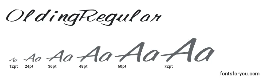 Размеры шрифта OldingRegular