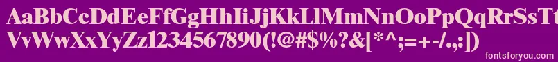 TimesltstdExtrabold Font – Pink Fonts on Purple Background