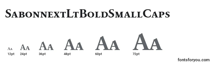 SabonnextLtBoldSmallCaps Font Sizes