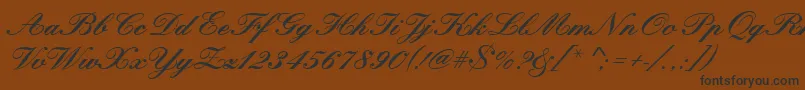 Kunstlerschreibschdbol Font – Black Fonts on Brown Background