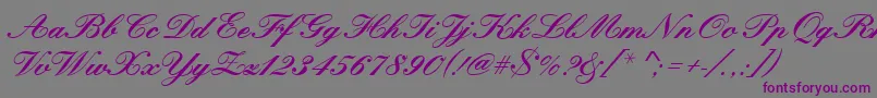 Kunstlerschreibschdbol Font – Purple Fonts on Gray Background