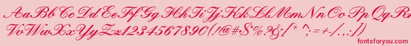 Kunstlerschreibschdbol Font – Red Fonts on Pink Background