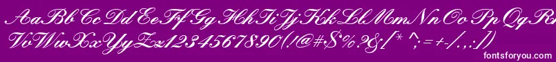 Kunstlerschreibschdbol Font – White Fonts on Purple Background