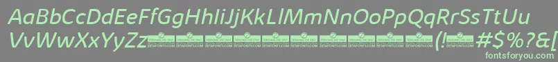 KabrioAbarthBookItalicTrial Font – Green Fonts on Gray Background