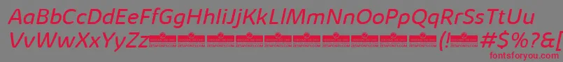 KabrioAbarthBookItalicTrial Font – Red Fonts on Gray Background