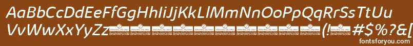 KabrioAbarthBookItalicTrial Font – White Fonts on Brown Background