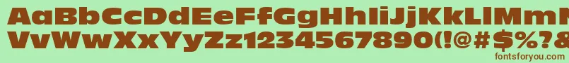 AntiqueOliveLtNord Font – Brown Fonts on Green Background
