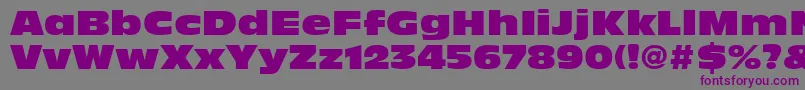 フォントAntiqueOliveLtNord – 紫色のフォント、灰色の背景