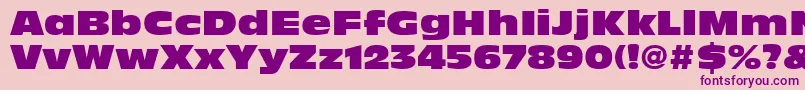 AntiqueOliveLtNord Font – Purple Fonts on Pink Background