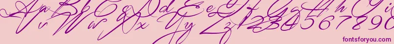 SignaritaZhaiRhianne Font – Purple Fonts on Pink Background