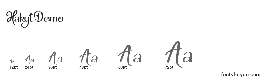 HakytDemo Font Sizes